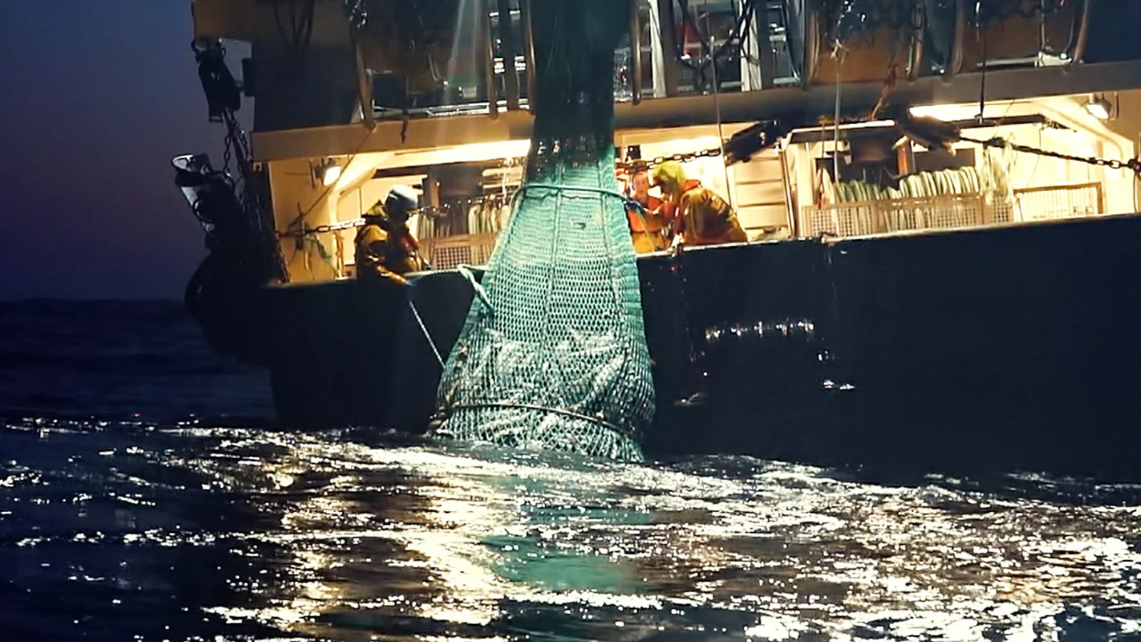 Netflix's 'Seaspiracy': 5 Mind-Blowing Facts We Double-Checked So You Don't  Have To