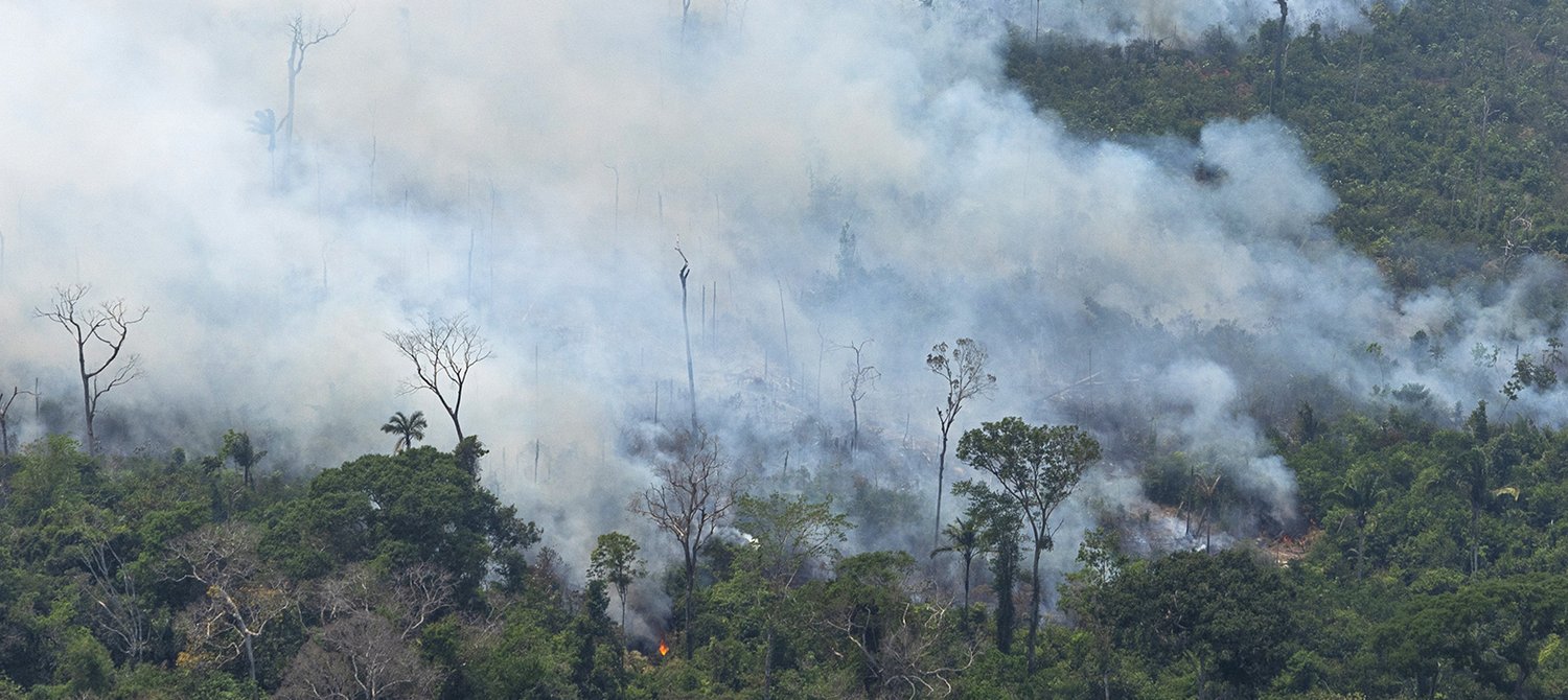 How the Amazon Is Key to a Cooler Planet