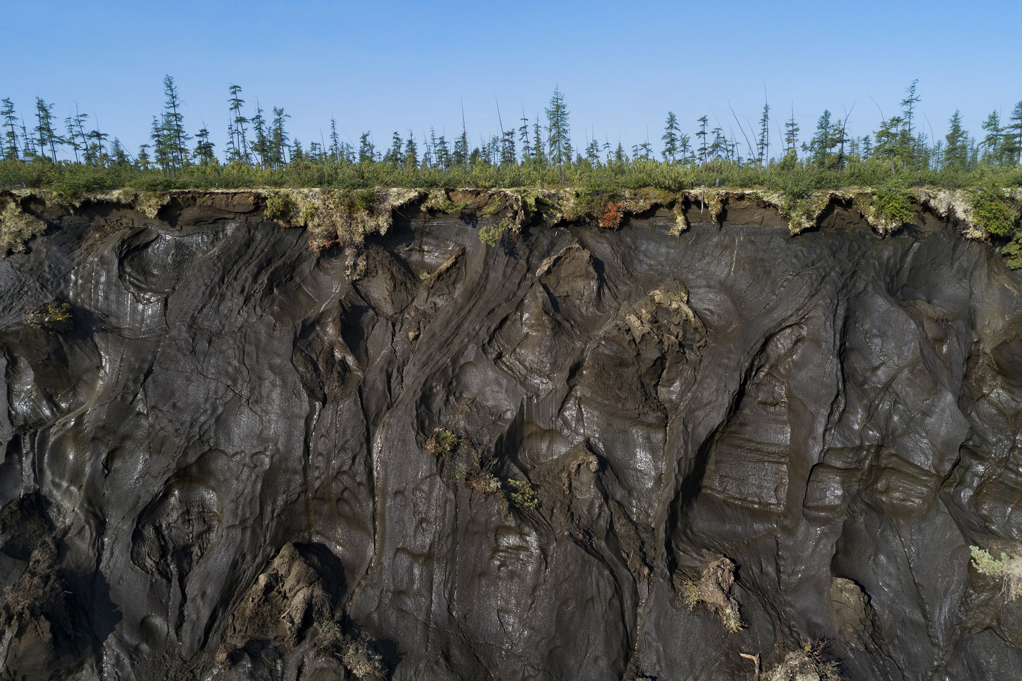 The Carbon Threat: The Arctic permafrost is thawing at a faster rate than predicted, releasing carbon gases that could speed up global heating. As it thaws, this material rots, releasing CO2 and shorter-lived methane. Nominated in the environment stories.
