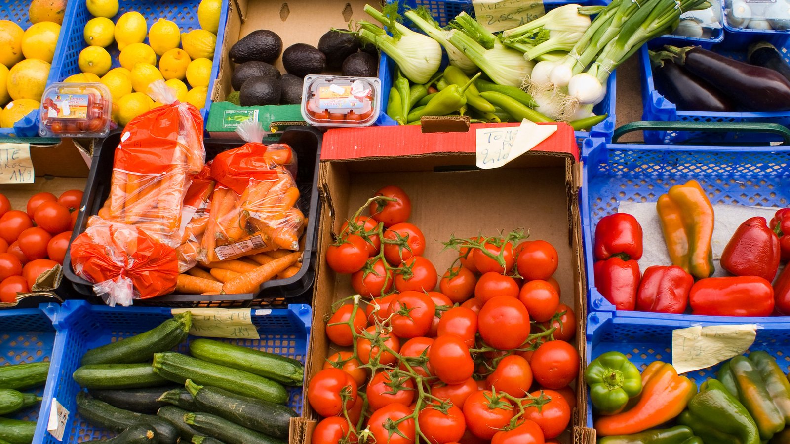 A Group of College Students Has Delivered Nearly 240,000 Pounds of Food ...