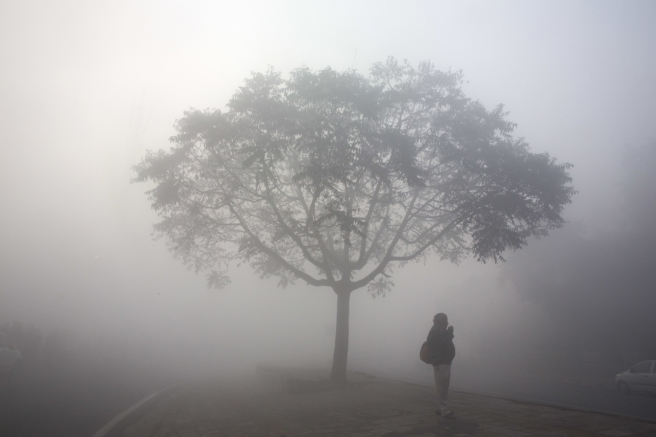 A commuter waits for transport on a road enveloped by smog early morning in New Delhi, India, Tuesday, Jan. 1, 2019.