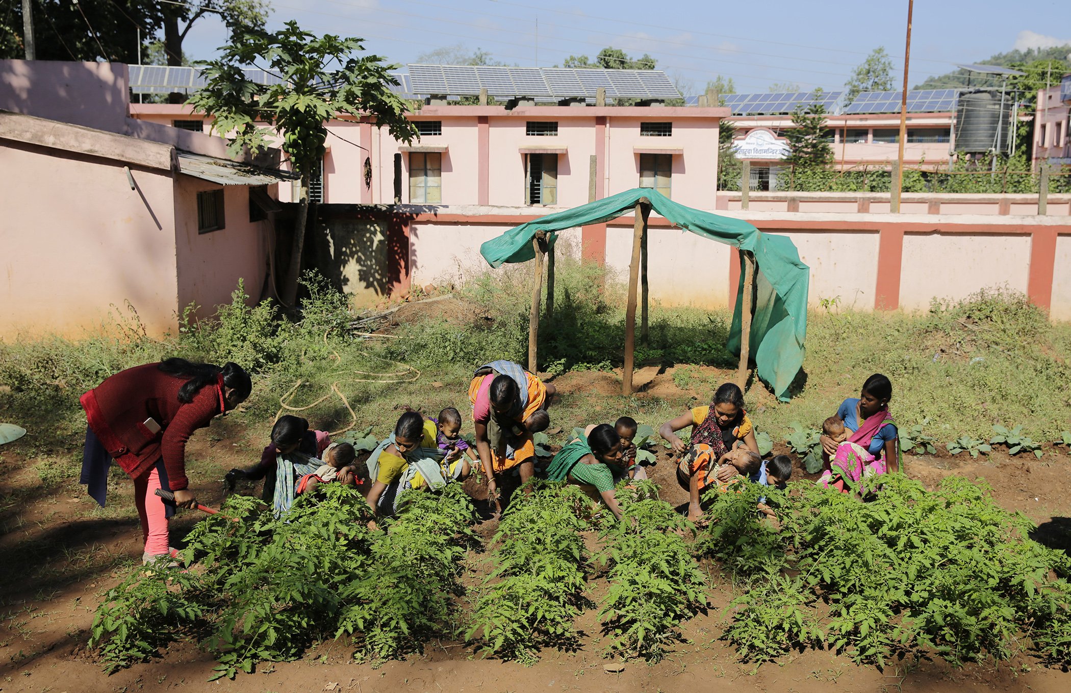 Tribal mothers work in attend counselling session at Nutrition Kitchen Garden (NKG) at Nutrition Rehabilitation Centre in Orchha, Narayanpur, Chattisgarh, India.